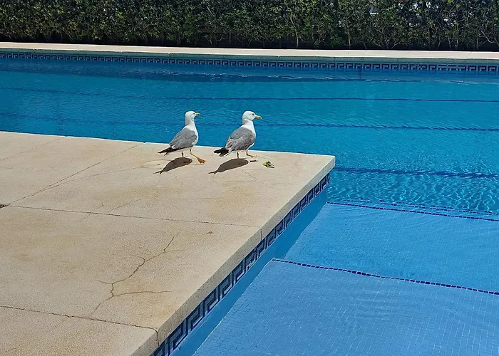Balcon Sobre El Mar