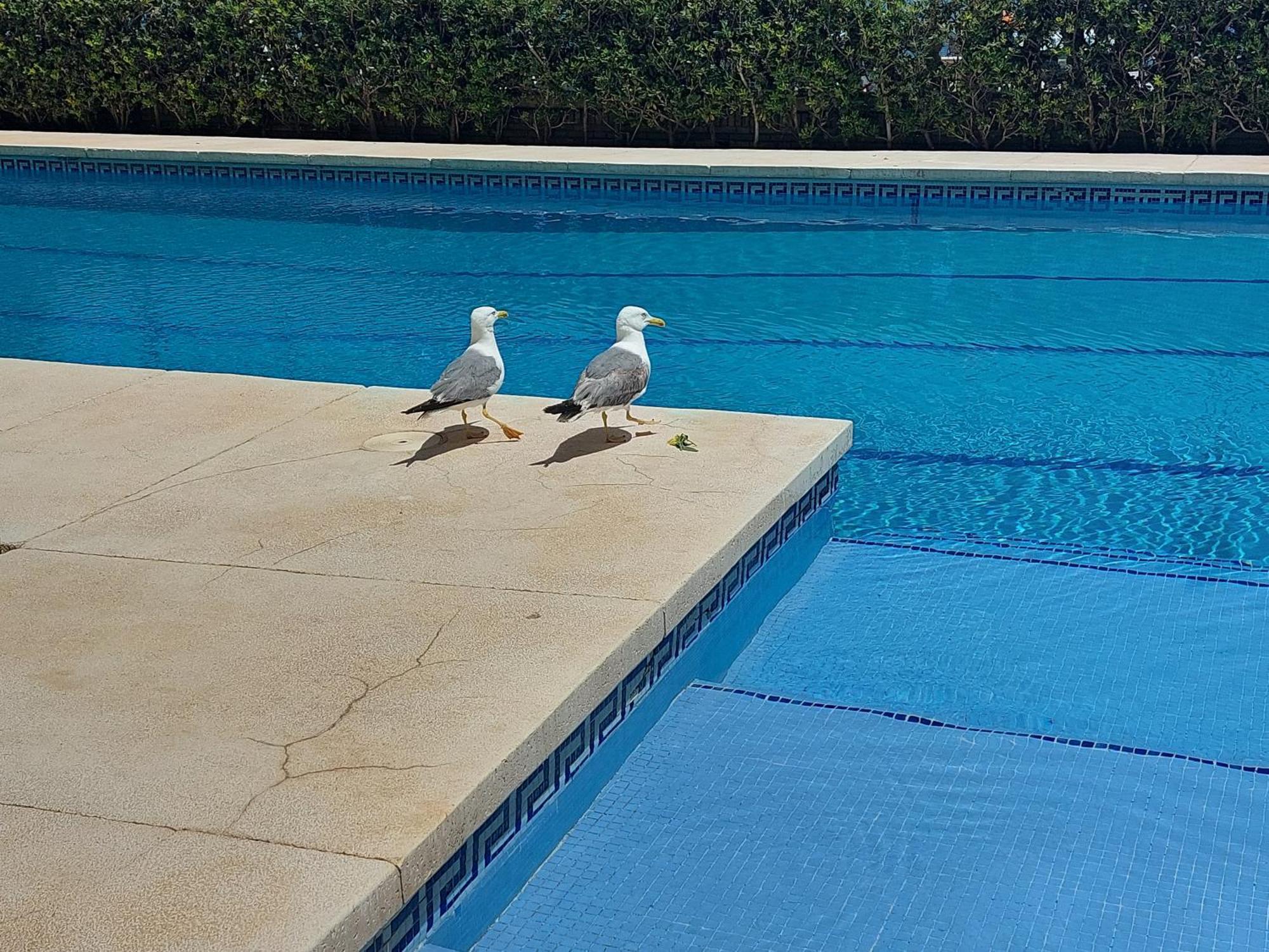 Balcon Sobre El Mar Appartamento